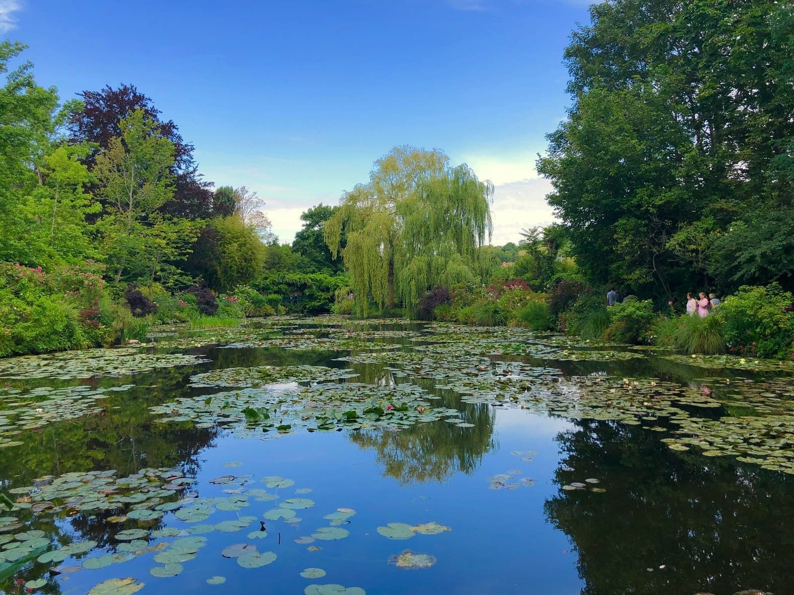 Les nénuphars de Giverny — jardins de Claude Monet, attraction touristique majeure de la Vallée de Seine
