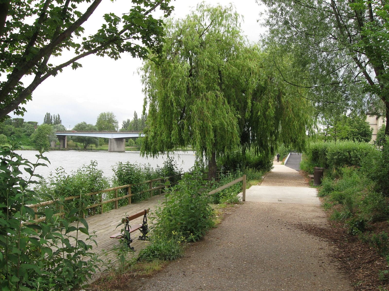 Bords de Seine près de Mantes avec saule pleureur et passerelle