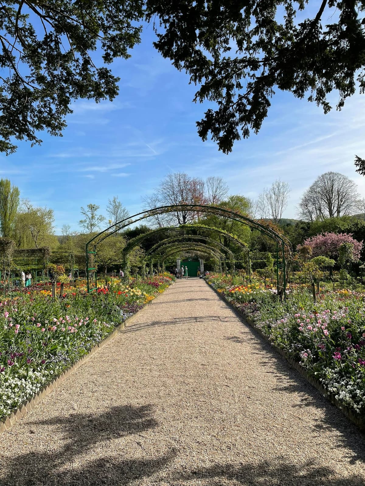 L’allée fleurie du Clos Normand, jardin de Claude Monet à Giverny, près de Vernon
